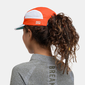 #color_Portland Orange